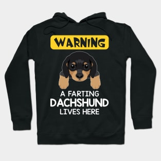 Warning A Farting Dachshund Lives Here Hoodie